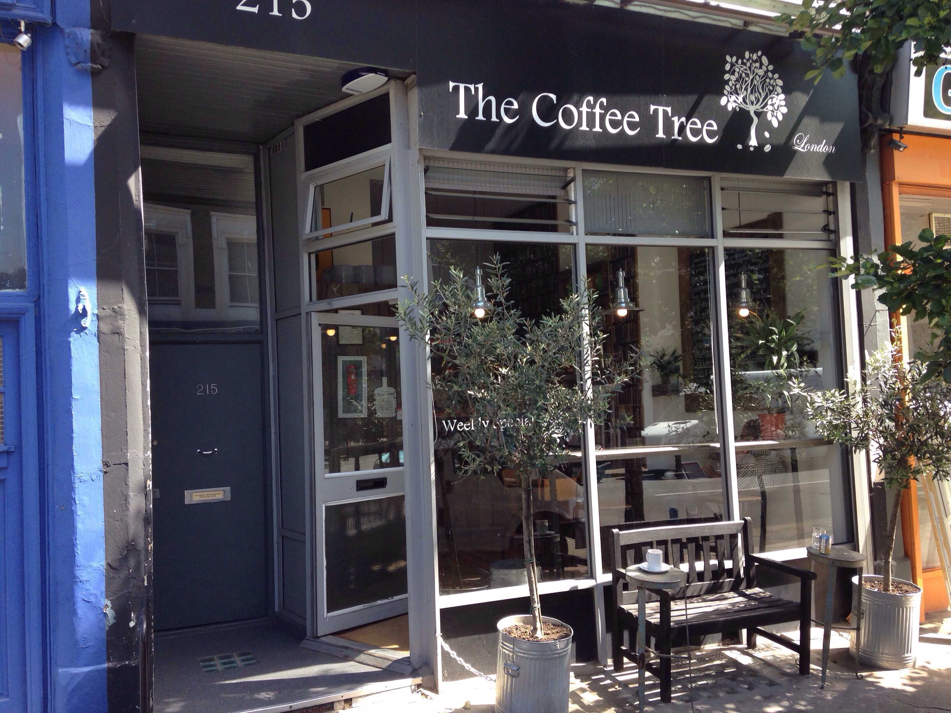 The Coffee Tree